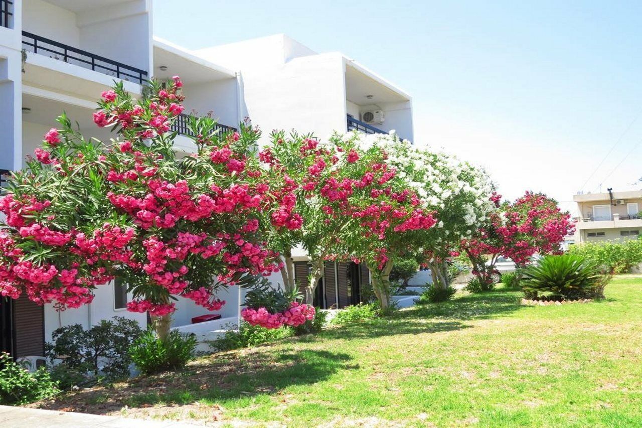 Debby Apartments Ialysos  Luaran gambar